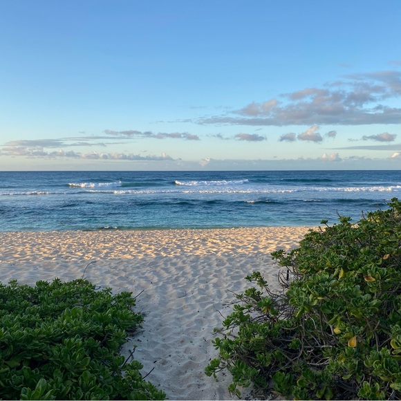 Meet your Posher, AL - Picture 2 of 5